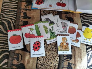 libro juego los colores minidiccionario con imagen
