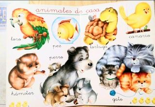 Animales observa y aprende los animales de granja