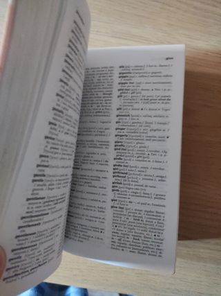 Diccionari Essencial Anglès-Català