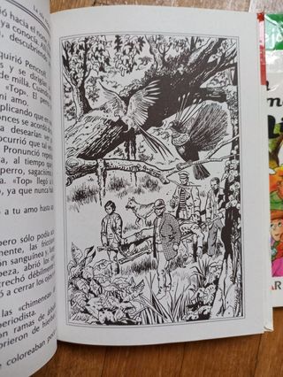 Libros La Isla Misteriosa y Un Campamento de Miedo