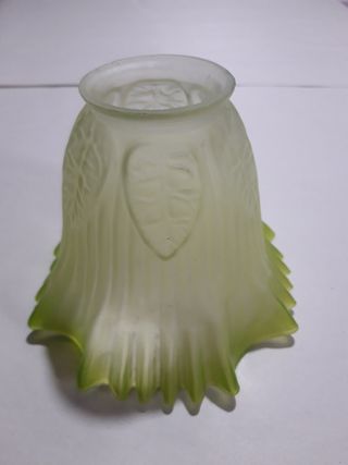 Tulipas varias de cristal muy antiguas y plafón.