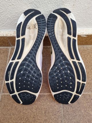 Nike air zoom pegasus 38