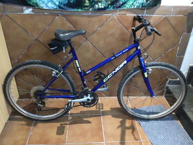 Bicicleta de montaña