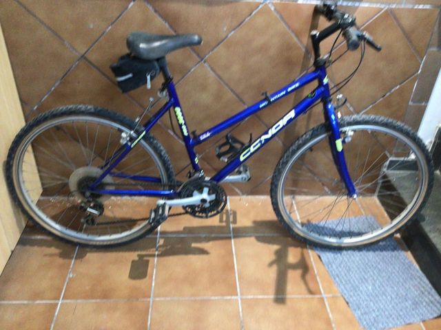 Bicicleta de montaña