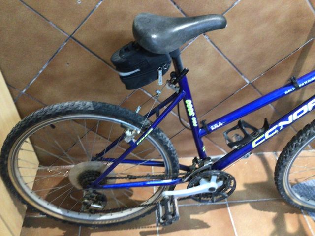 Bicicleta de montaña