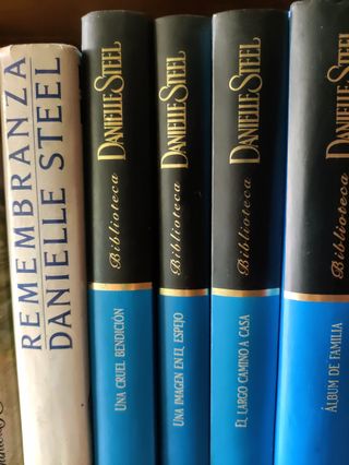 PACK 11 LIBROS DE NOVELA ROMANTICA DANIELLE STEEL