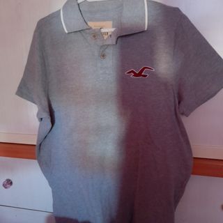 polo hollister