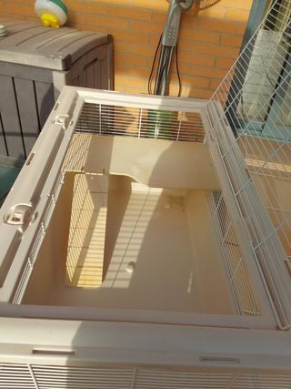 Jaula hamsters o coballas