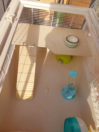 Jaula hamsters o coballas