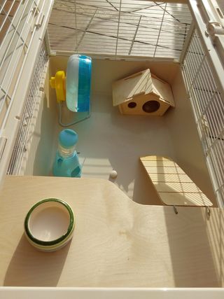 Jaula hamsters o coballas