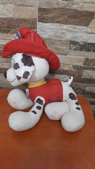 Bebe llorón y Marsall