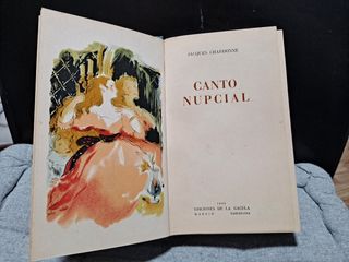 lote 10 libros variados