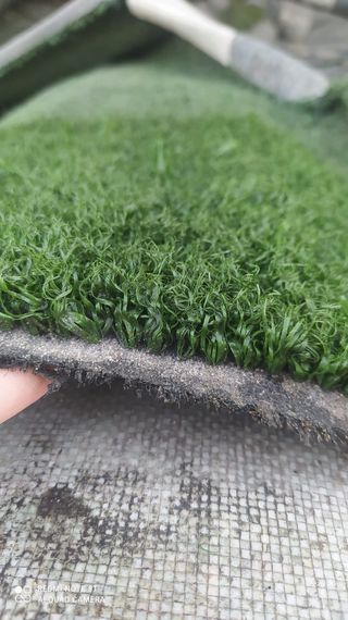 CÉSPED SIN LINEAS CALIDAD