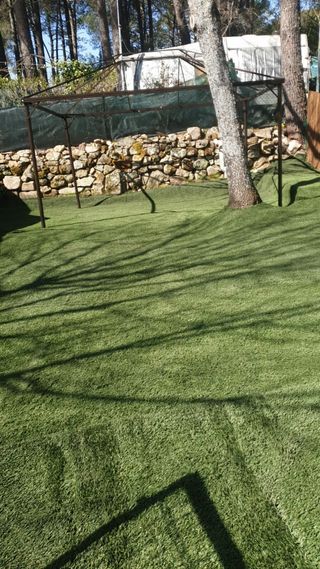 CÉSPED SIN LINEAS CALIDAD