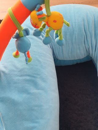 Cojín de lactancia y amaquita