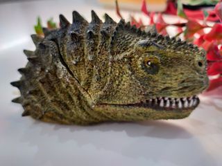 planta pecera y carnotaurus