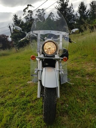 SUZUKI INTRUDER C800C 2014