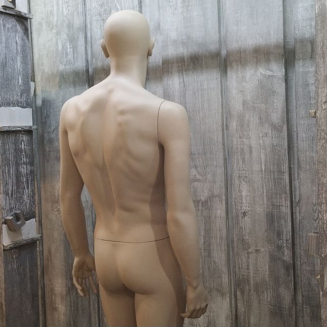 Manichini da uomo, Professional Complete Mannequin.