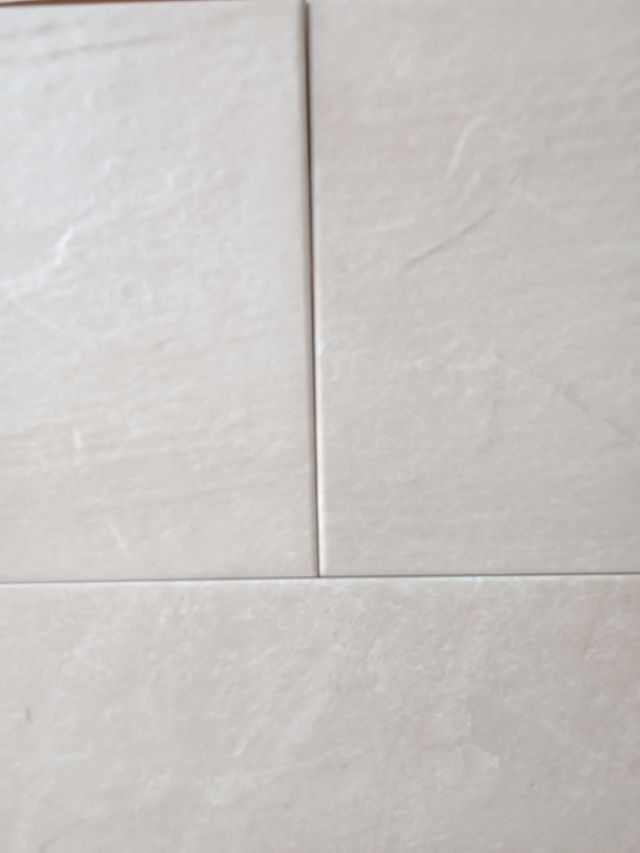 Plaqueta porcelanica