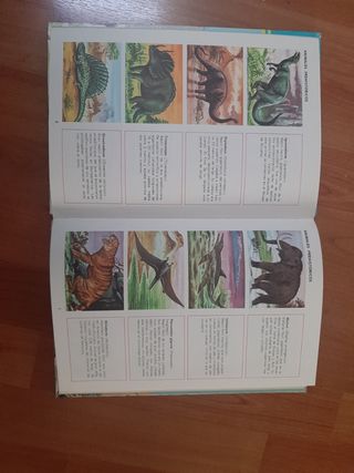Libro Animales maravillosos,1968, Cultura&Progreso
