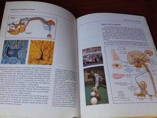 6 Libros Medicina