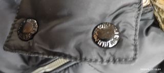 plumas Tommy Hilfiger