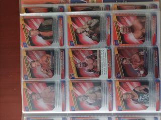 WWE Action Cards 2015 Panini completa.