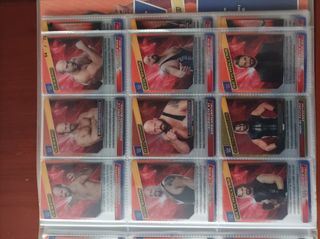 WWE Action Cards 2015 Panini completa.