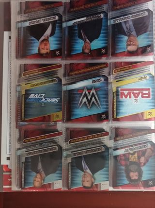 WWE Action Cards 2016 Panini completa.