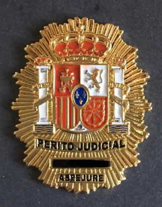 Perito informático forense