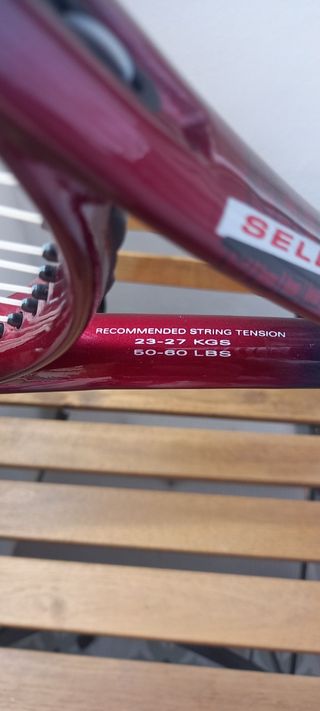 Raqueta Wilson Hammer Pro 25 + regalo tubo pelotas
