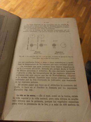 libros escolares años 40