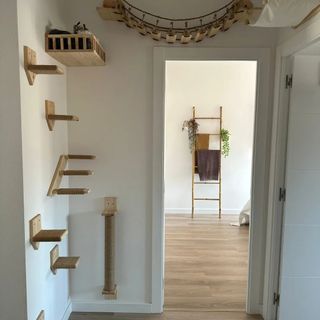 Rascador de pared para gatos