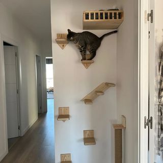 Rascador de pared para gatos