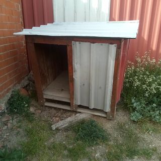 caseta para perros