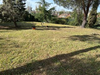 Desbrozado de parcela y jardines