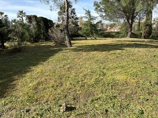 Desbrozado de parcela y jardines