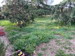 Desbrozado de parcela y jardines