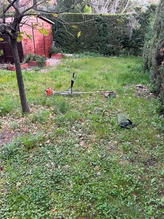 Desbrozado de parcela y jardines