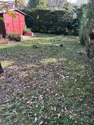 Desbrozado de parcela y jardines