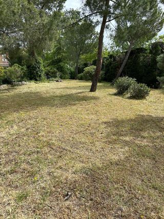 Desbrozado de parcela y jardines