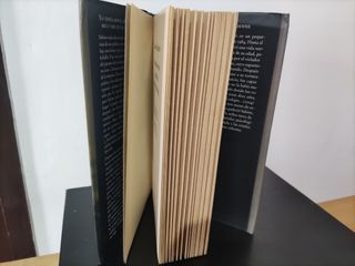 Rapto de Sabine Dardenne