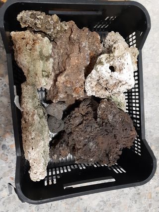 decoración de acuarios