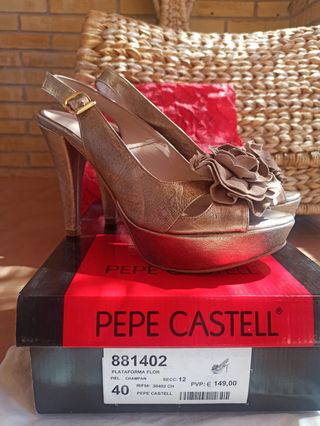 Conjunto Zapatos y bolso Pepe Castell