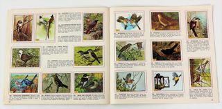 ALBUM FIGURINE COMPLETO PANINI UCCELLI 1978