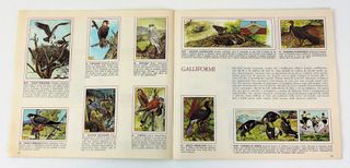 ALBUM FIGURINE COMPLETO PANINI UCCELLI 1978