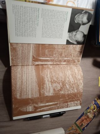 La tierra herida. Miguel Delibes