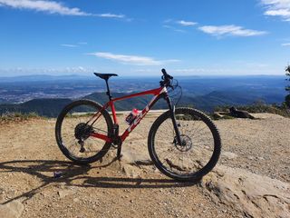 felt doctrine 3  talla L