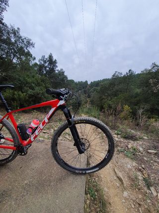 felt doctrine 3  talla L