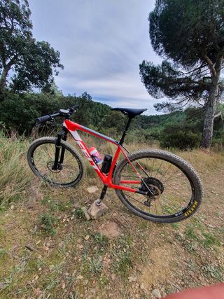 felt doctrine 3  talla L